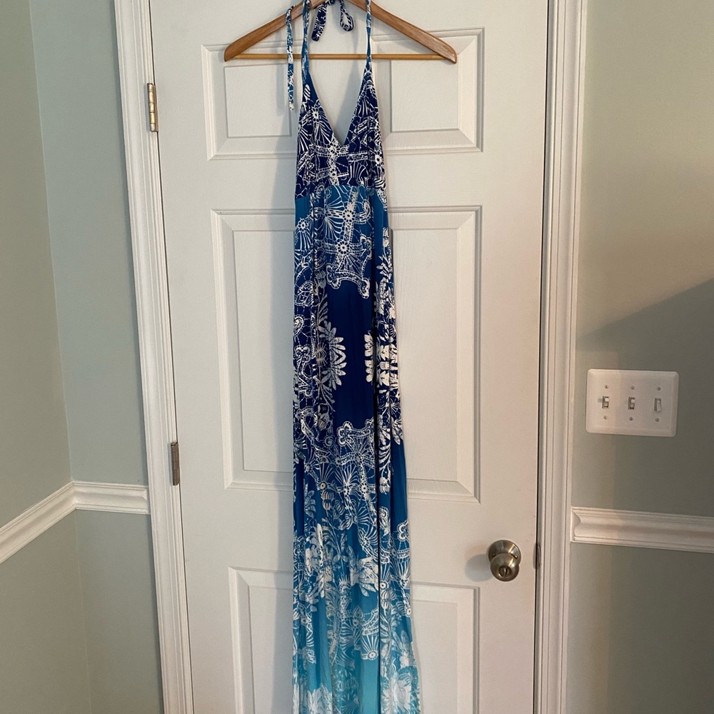 Express full length sun dress